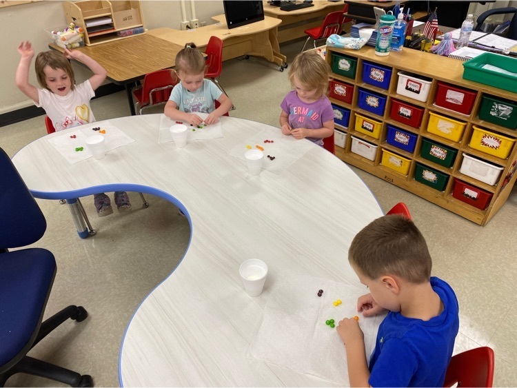 preschool sorting skittles