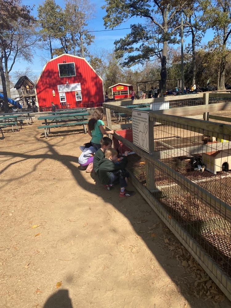 Students petting farm animals. 