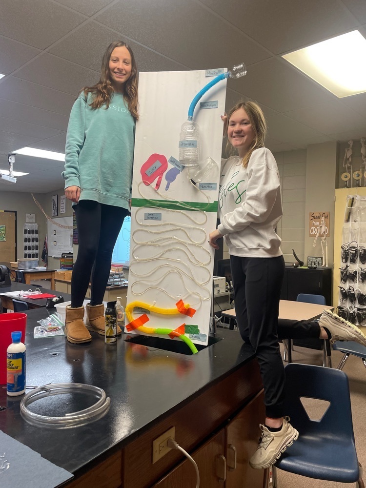 Students standing beside their human digestive model.