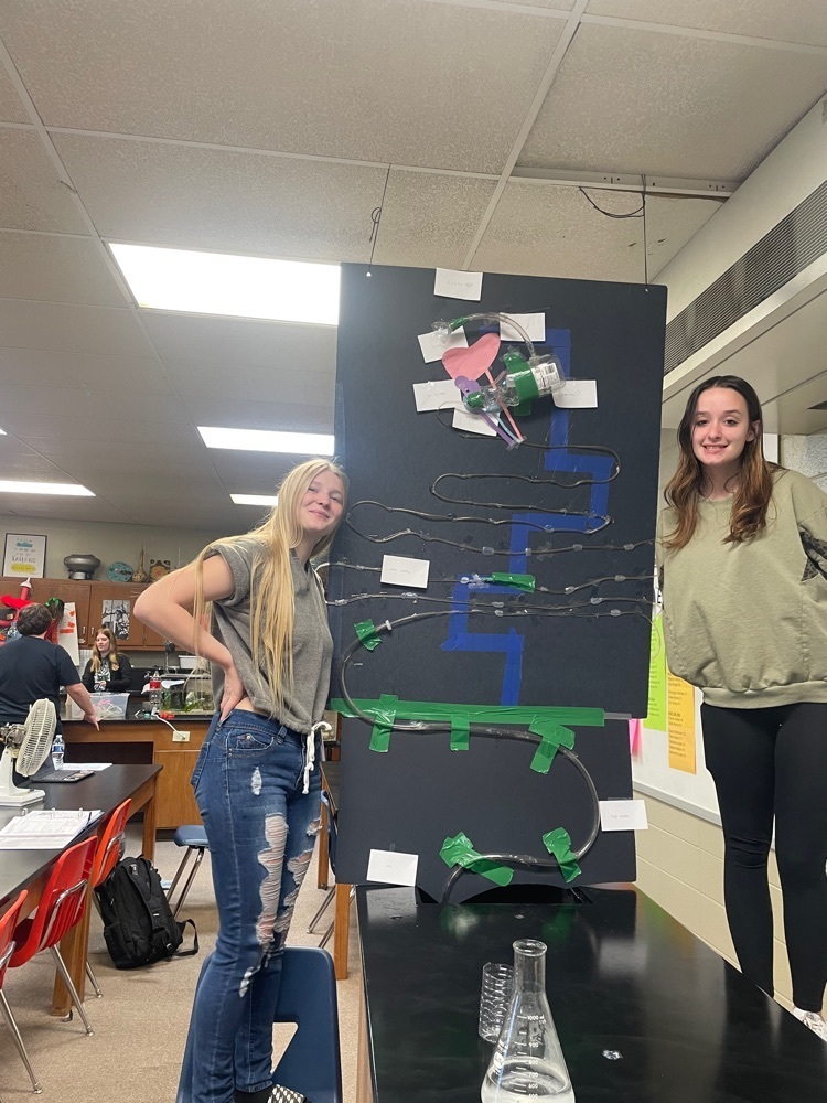 Students standing beside their human digestive model.